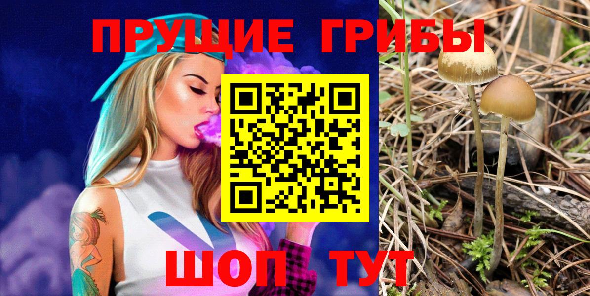 Галлюциногенные грибы прущие грибы Дивногорск