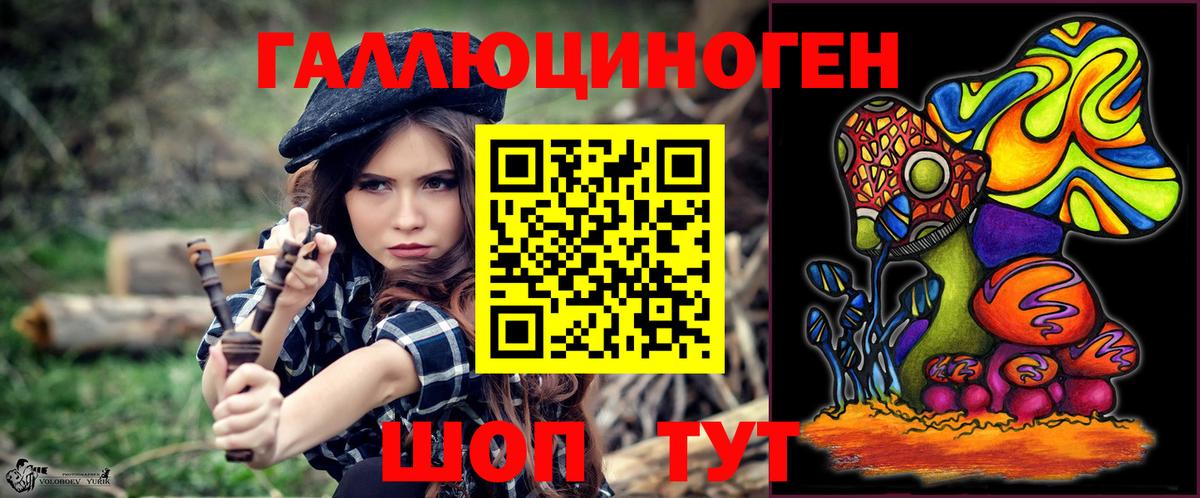 Галлюциногенные грибы Cubensis  Вход с VPN  Дивногорск 